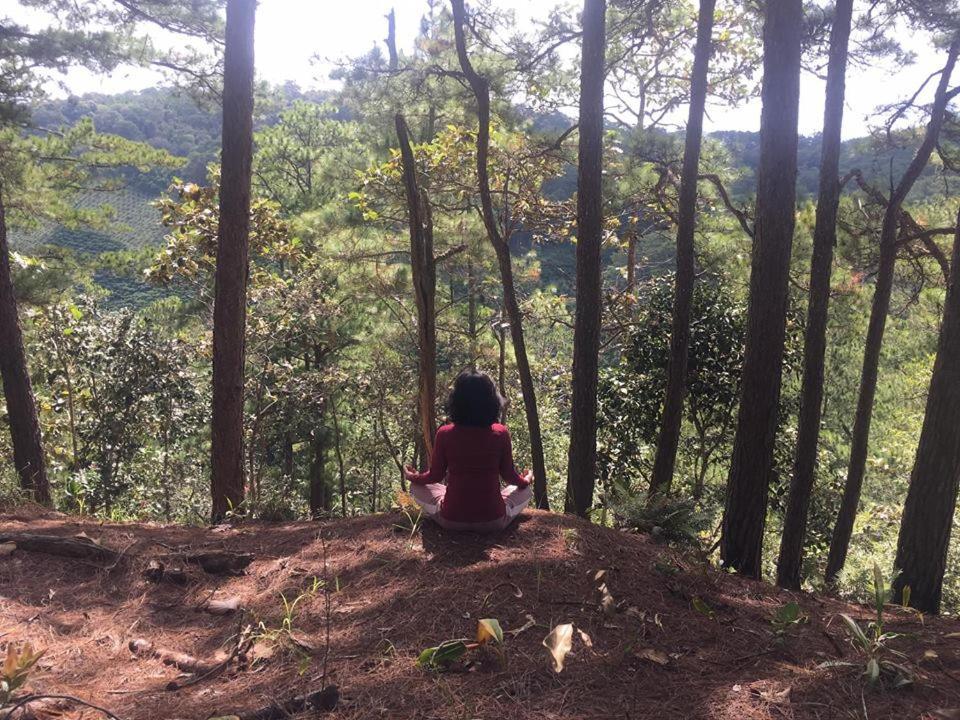 Farmstay O A Phao - Km37 Ham Yen Tuyen Quang Dış mekan fotoğraf