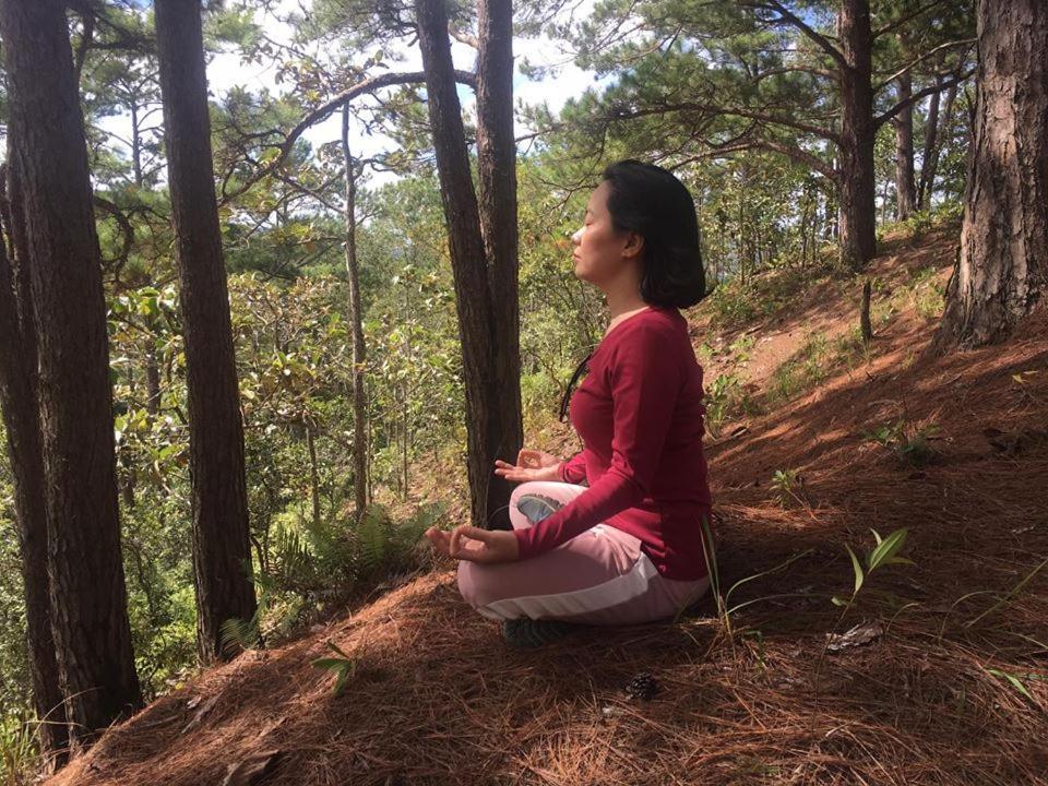 Farmstay O A Phao - Km37 Ham Yen Tuyen Quang Dış mekan fotoğraf